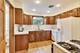 7022 N Olcott, Chicago, IL 60631