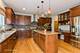 316 Juliana, Bloomingdale, IL 60108