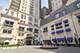11 E Walton Unit 4801, Chicago, IL 60611