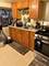 1723 N Monitor, Chicago, IL 60639