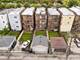 3340 W Polk, Chicago, IL 60624