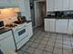 3233 S Morgan, Chicago, IL 60608