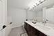 1250 S Indiana Unit 1301, Chicago, IL 60605