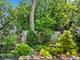 1339 N Dunton, Arlington Heights, IL 60004
