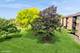 6425 Clarendon Hills Unit 311, Willowbrook, IL 60527