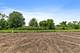 32018 Savannah, Lakemoor, IL 60051