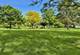 828 Graceland Unit 404, Des Plaines, IL 60016