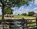 828 Graceland Unit 404, Des Plaines, IL 60016