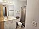 1830 Chestnut Unit 1830, Glenview, IL 60025