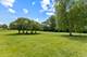 235 Parktrail, Schaumburg, IL 60173