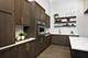320 W Illinois Unit 917, Chicago, IL 60654