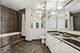 1 Renaissance Unit 4PH, Palatine, IL 60067