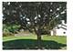5740 Raintree, Westmont, IL 60559