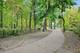 224 Marion, Oak Park, IL 60302