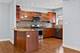 1118 E 46th Unit 1E, Chicago, IL 60653
