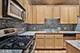 1070 W 15th Unit 147, Chicago, IL 60608