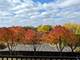 470 W Mahogany Unit 310, Palatine, IL 60067