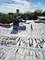 3362 S Giles, Chicago, IL 60616