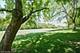 313 Woodview, Lake Barrington, IL 60010