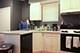 2455 N Ashland Unit 3, Chicago, IL 60614