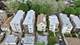 4834 N Ridgeway, Chicago, IL 60625