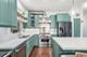 2023 W Rice Unit 1E, Chicago, IL 60622