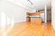 1620 S Michigan Unit 1022, Chicago, IL 60616