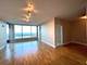 1901 S Calumet Unit 2602, Chicago, IL 60616