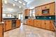 423 Ames, Libertyville, IL 60048