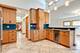 423 Ames, Libertyville, IL 60048