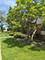 209 Washington Unit D, Elk Grove Village, IL 60007