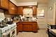 8206 Knox, Skokie, IL 60076