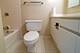 440 N Wabash Unit 3102, Chicago, IL 60611