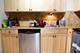 3600 N Lake Shore Unit 2509, Chicago, IL 60613