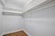 1115 S Plymouth Unit 102, Chicago, IL 60605