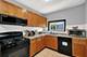 717 Randolph, Oak Park, IL 60302