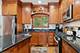 32 Anderson, Geneva, IL 60134