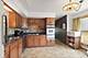 9130 Chestnut, Hickory Hills, IL 60457
