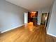 732 W Bittersweet Unit 1207, Chicago, IL 60613