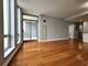 1250 S Michigan Unit 703, Chicago, IL 60605