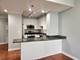 1250 S Michigan Unit 703, Chicago, IL 60605