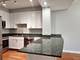 1250 S Michigan Unit 703, Chicago, IL 60605