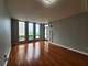 1250 S Michigan Unit 703, Chicago, IL 60605