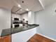 1250 S Michigan Unit 703, Chicago, IL 60605