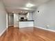 1250 S Michigan Unit 703, Chicago, IL 60605