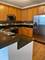 1600 S Prairie Unit 904, Chicago, IL 60616