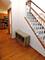 551 Goodwin, Bolingbrook, IL 60440