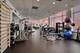 1000 N Lake Shore Unit 17C, Chicago, IL 60611