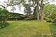 819 N Sharon, Woodstock, IL 60098