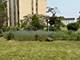 9745 S Karlov Unit 104, Oak Lawn, IL 60453